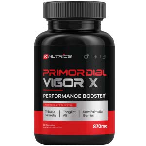 Primordial Vigor X