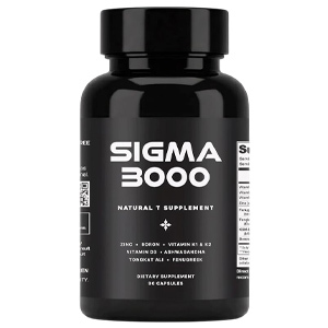 SIGMA 3000