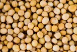 soy-isoflavones